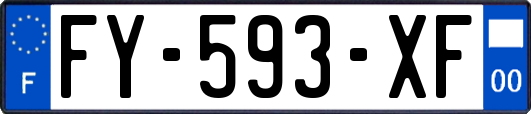FY-593-XF