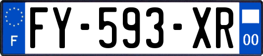 FY-593-XR