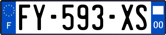 FY-593-XS