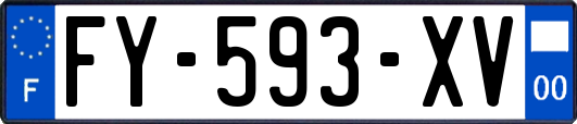 FY-593-XV