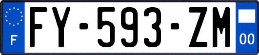 FY-593-ZM