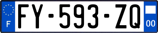 FY-593-ZQ