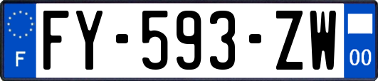 FY-593-ZW