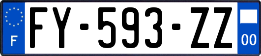 FY-593-ZZ