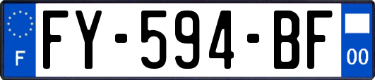 FY-594-BF