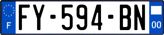 FY-594-BN