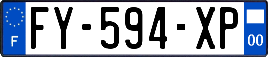 FY-594-XP