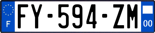 FY-594-ZM