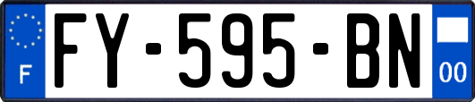 FY-595-BN