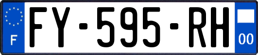 FY-595-RH