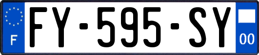 FY-595-SY