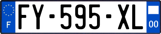 FY-595-XL