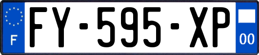 FY-595-XP