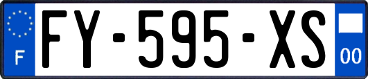 FY-595-XS