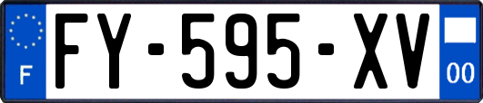 FY-595-XV