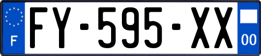 FY-595-XX