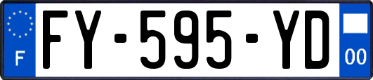 FY-595-YD
