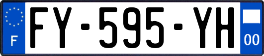 FY-595-YH