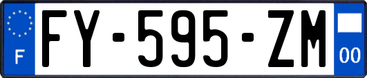 FY-595-ZM