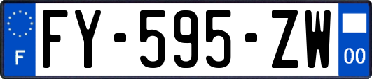FY-595-ZW