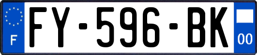 FY-596-BK