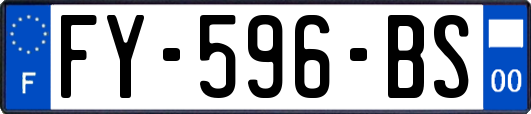 FY-596-BS