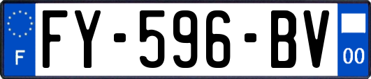 FY-596-BV
