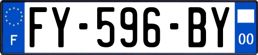 FY-596-BY