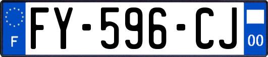 FY-596-CJ