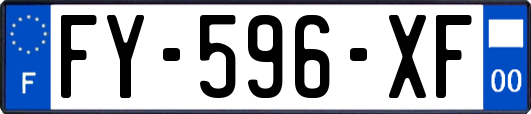 FY-596-XF