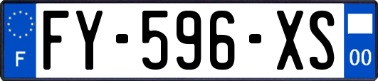 FY-596-XS