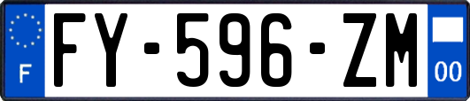 FY-596-ZM