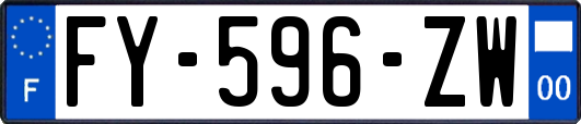 FY-596-ZW