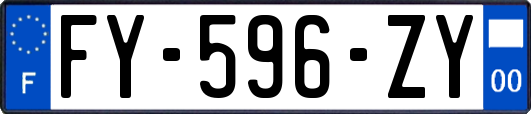 FY-596-ZY
