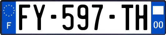 FY-597-TH