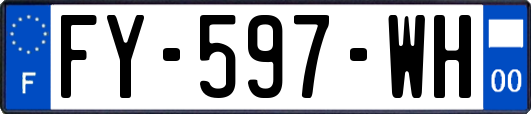FY-597-WH