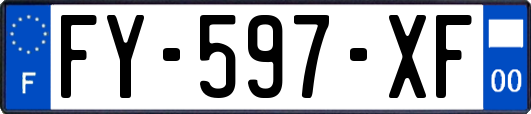 FY-597-XF