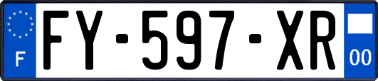FY-597-XR