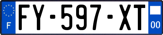 FY-597-XT