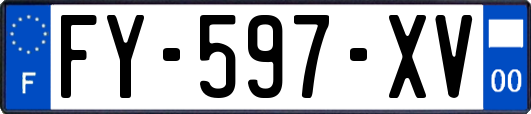 FY-597-XV