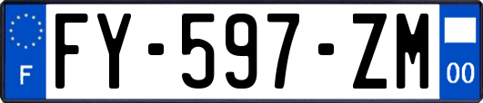 FY-597-ZM