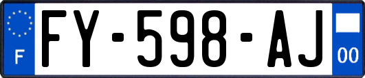 FY-598-AJ