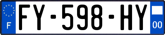 FY-598-HY