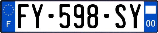 FY-598-SY