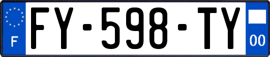 FY-598-TY