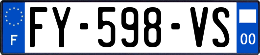 FY-598-VS