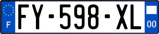 FY-598-XL