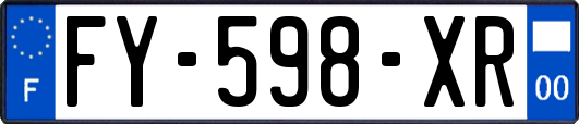 FY-598-XR