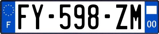 FY-598-ZM