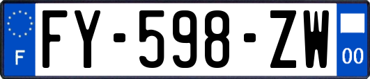 FY-598-ZW